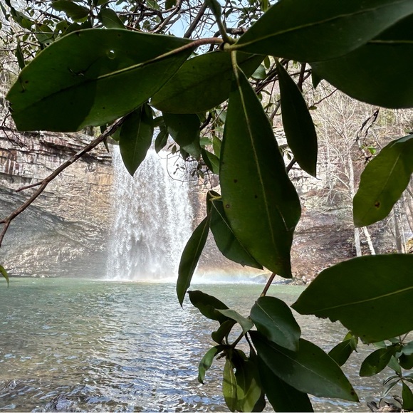 Meet your Posher, Lilly - Picture 1 of 1